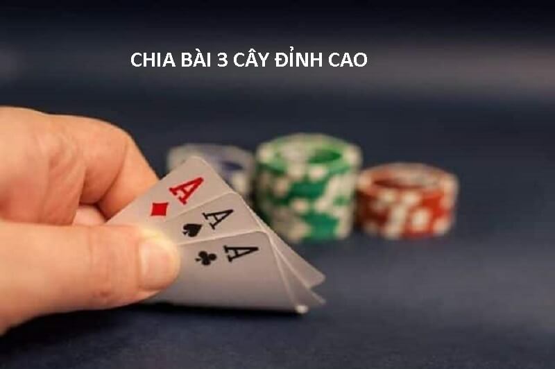 Làm giàu không khó với 789bet cách chia bài 3 cây bịp hot nhất hiện nay